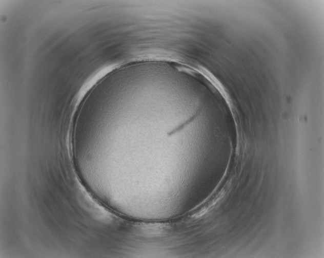 X0000085261293200703231706