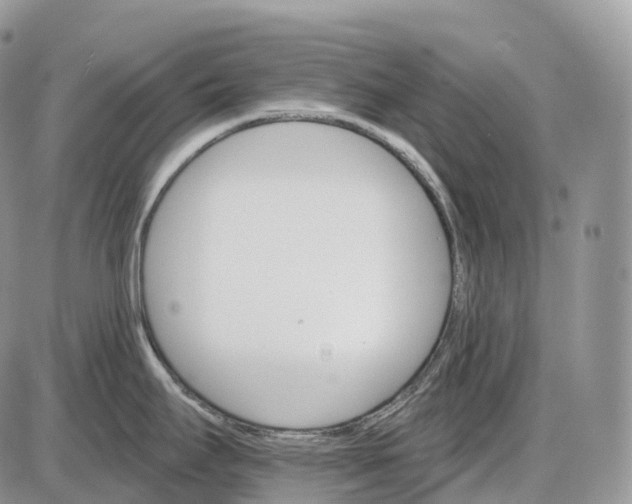 X0000085261295200703231706