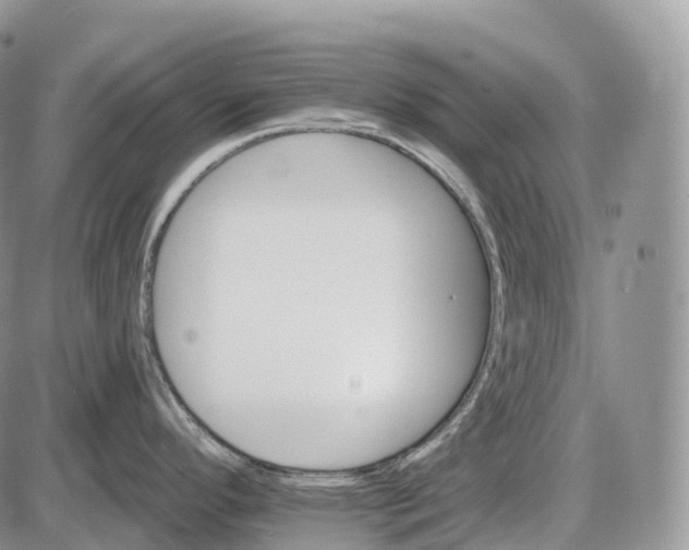 X0000085261296200703231706