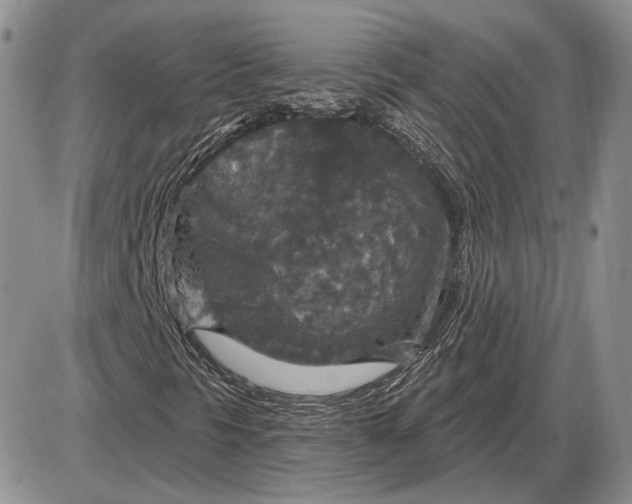 X0000085261297200703231705