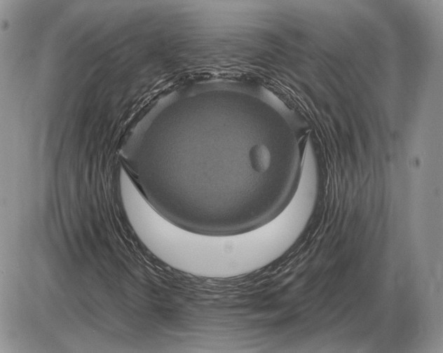 X0000085261298200703231705