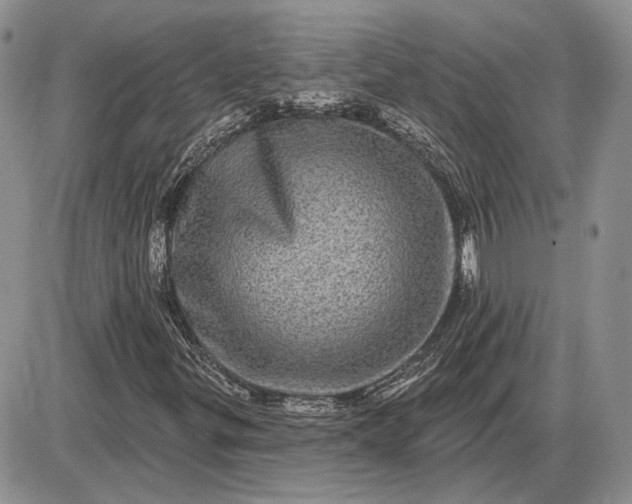 X0000085261299200703231705