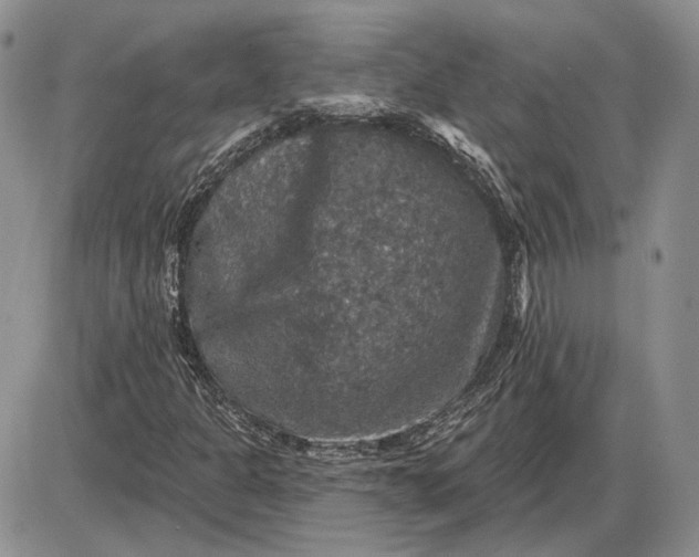 X0000085261301200703231705