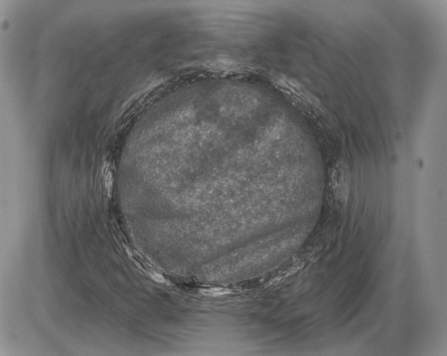 X0000085261302200703231705