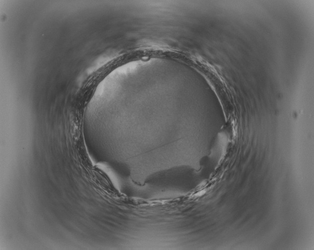 X0000085261303200703231705