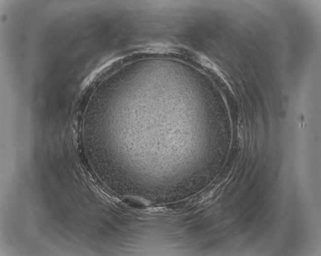 X0000085261304200703231705