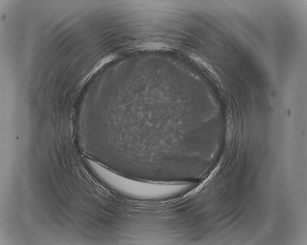 X0000085261305200703231705