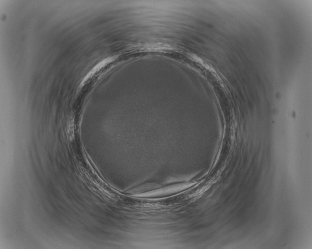 X0000085261306200703231705