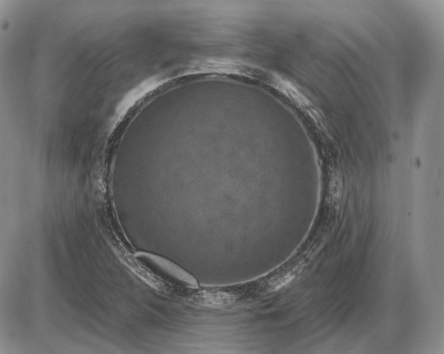 X0000085261312200703231705