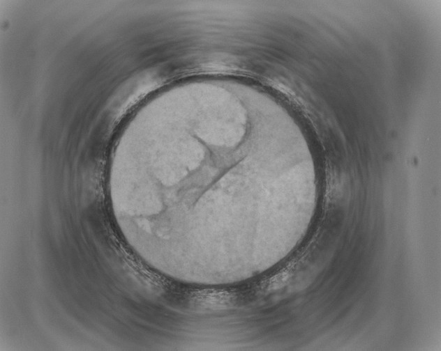 X0000085261314200703231705