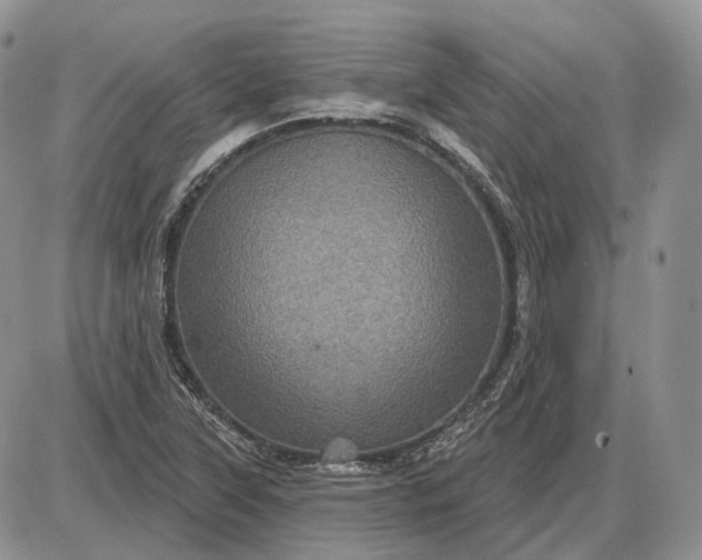 X0000085261315200703231705