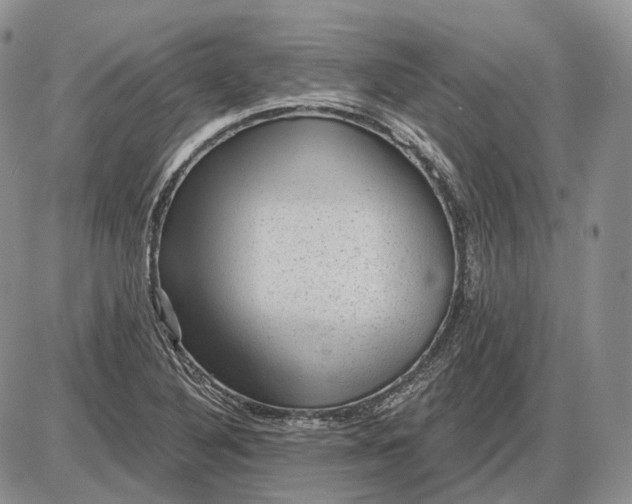 X0000085261316200703231705