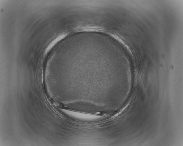 X0000085261317200703231705