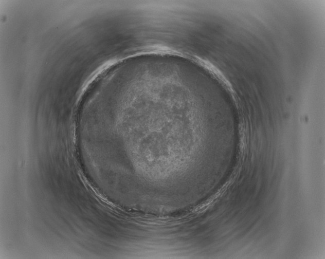 X0000085261318200703231705