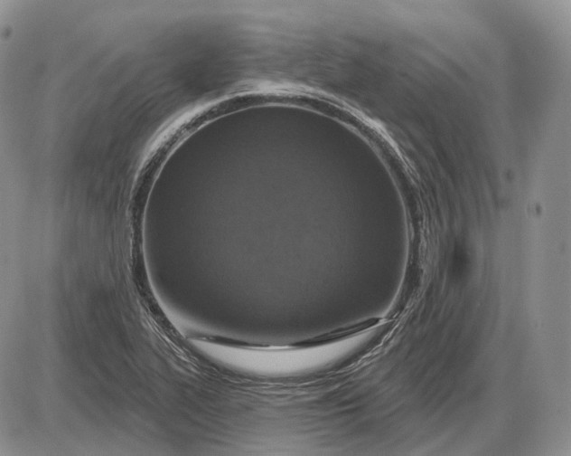 X0000085261319200703231705