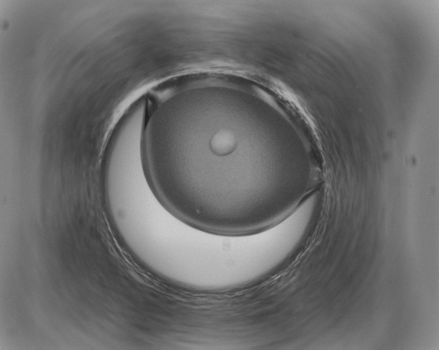 X0000085261320200703231705