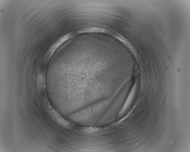 X0000085261321200703231705