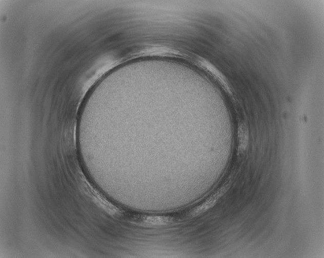 X0000085261322200703231705