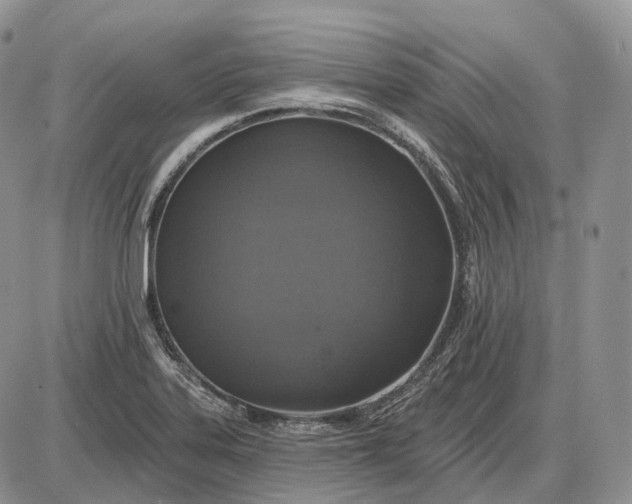 X0000085261323200703231705