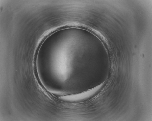 X0000085261327200703231705