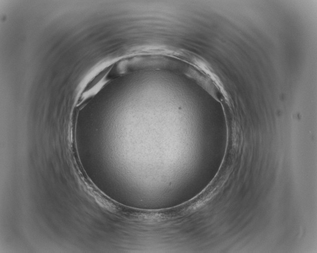 X0000085261328200703231705