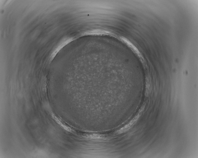 X0000085261329200703231705