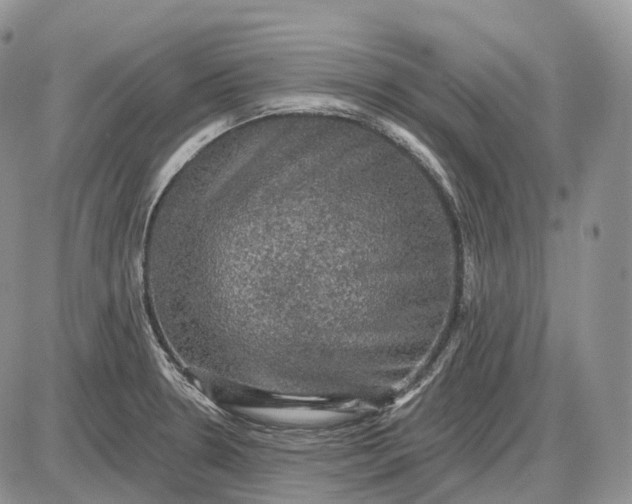 X0000085261330200703231705