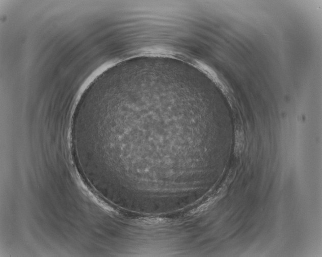 X0000085261331200703231705