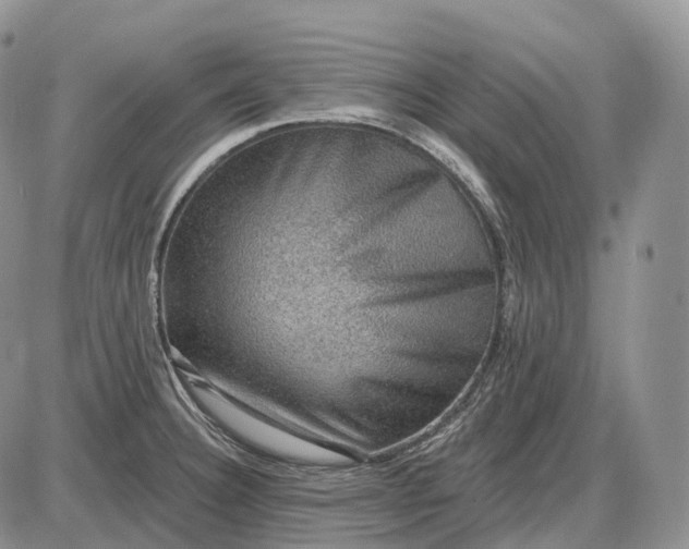 X0000085261332200703231705