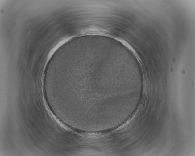 X0000085261333200703231705