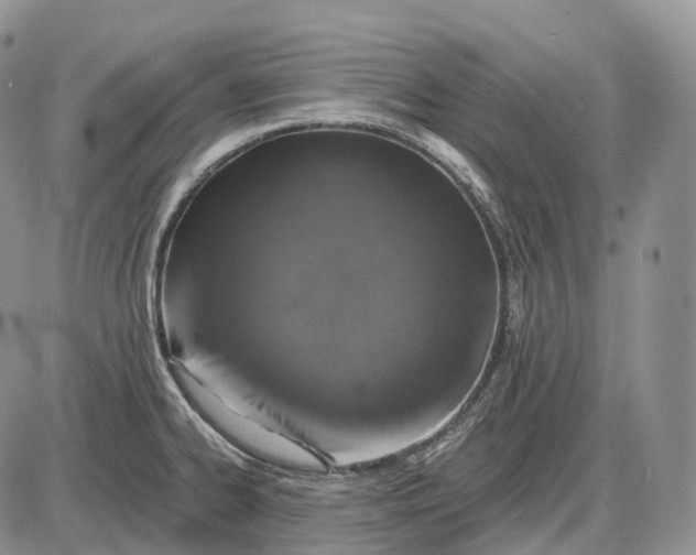 X0000085261334200703231705