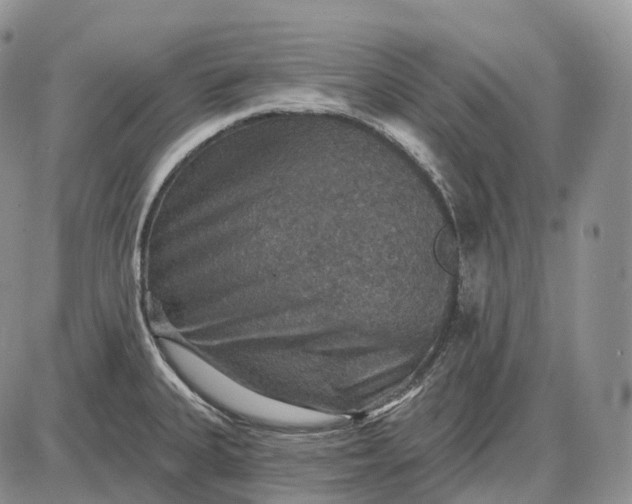 X0000085261335200703231705