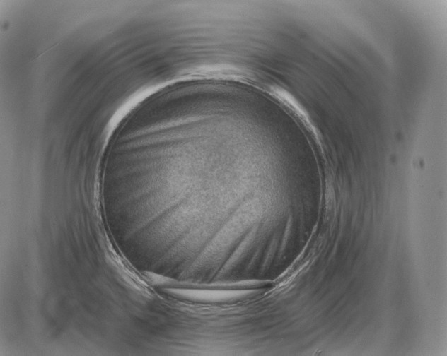 X0000085261336200703231705