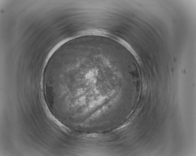 X0000085261339200703231705