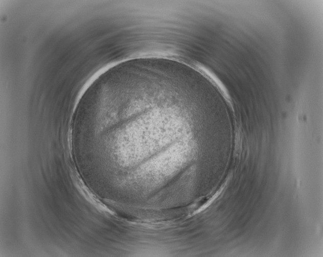 X0000085261340200703231705