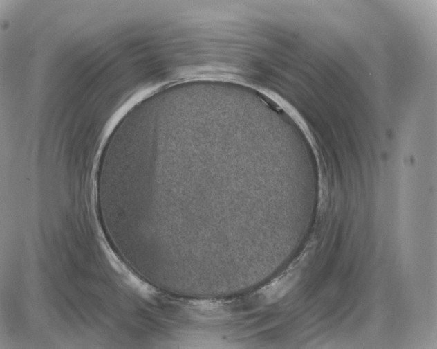 X0000085261341200703231705