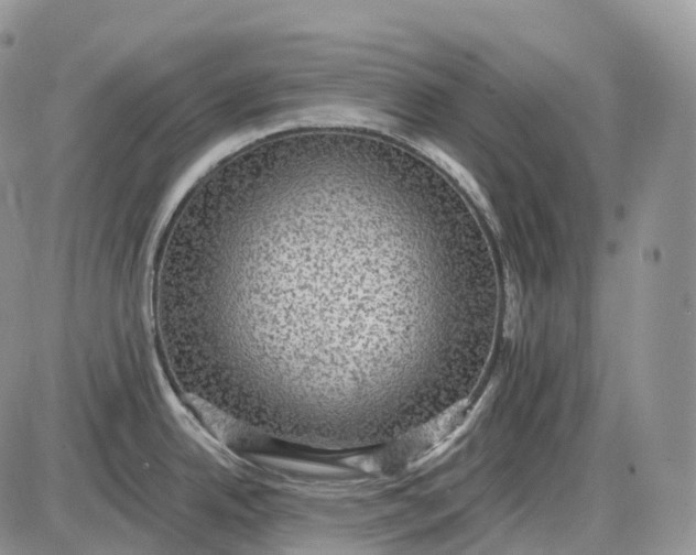 X0000085261342200703231705