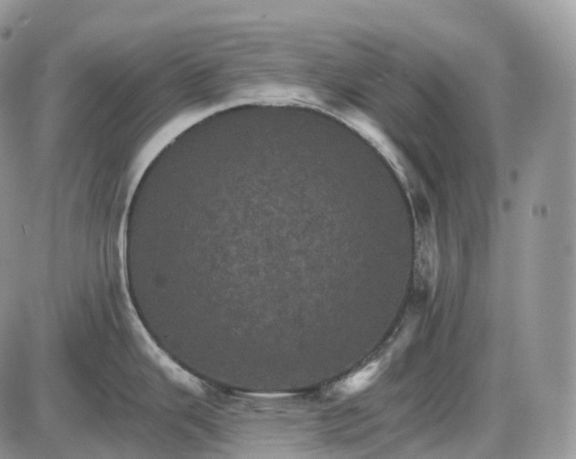 X0000085261343200703231706