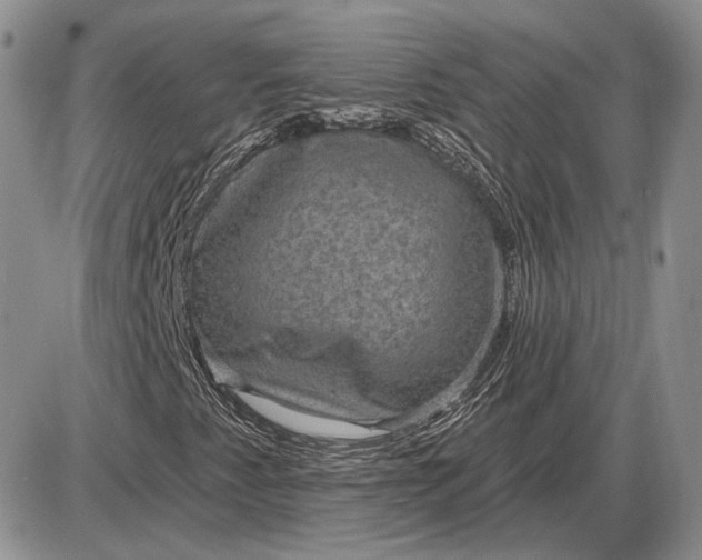 X0000085261345200703231705