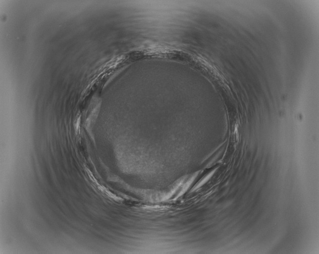 X0000085261348200703231705