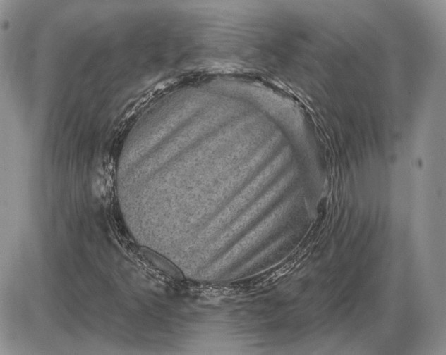 X0000085261349200703231705