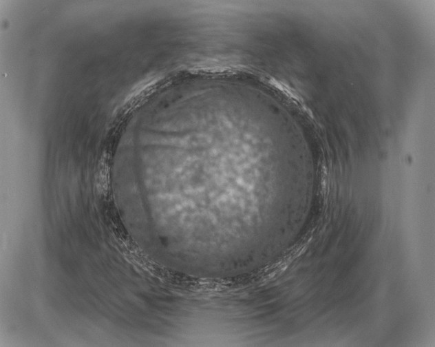 X0000085261350200703231705