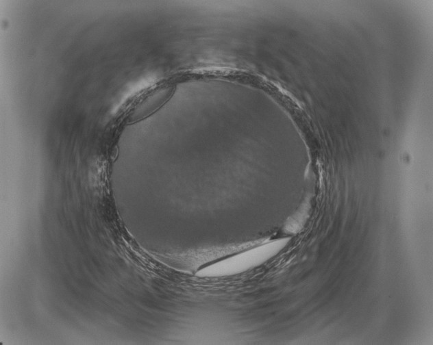 X0000085261351200703231705