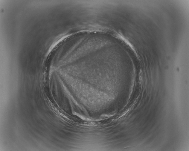 X0000085261352200703231705