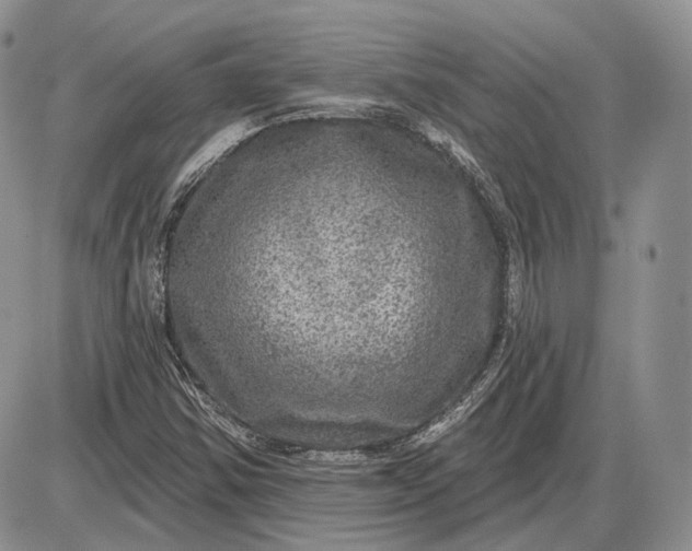 X0000085261354200703231705