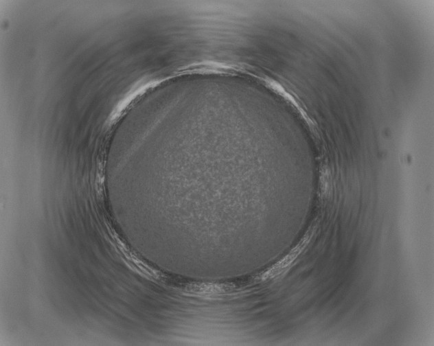 X0000085261355200703231705