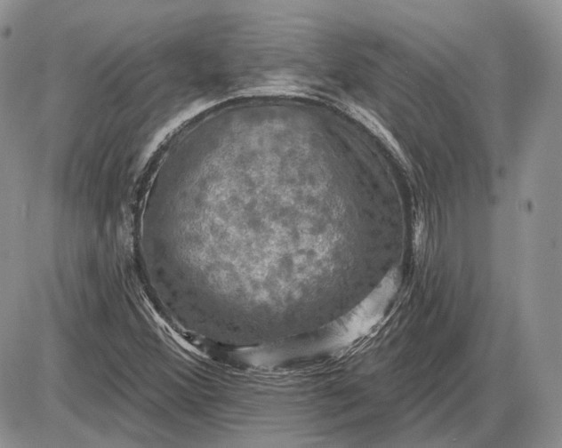 X0000085261356200703231705