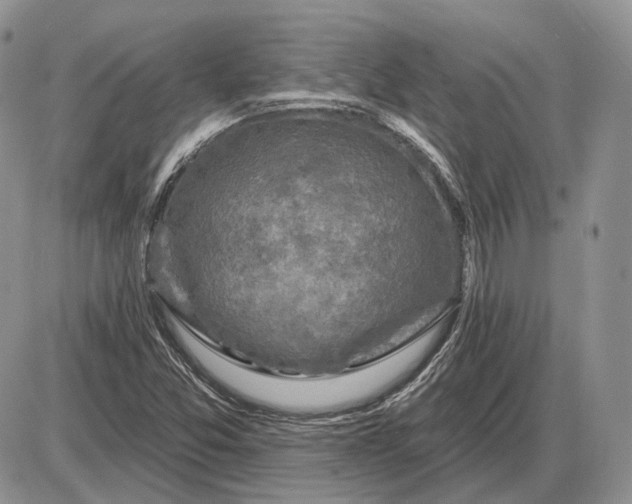 X0000085261357200703231705