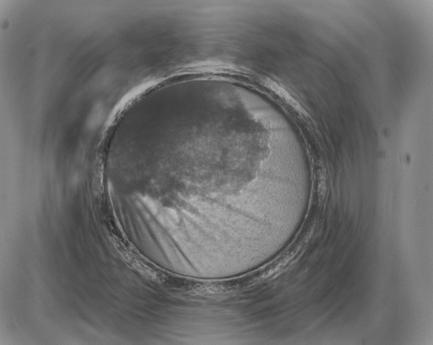 X0000085261358200703231705