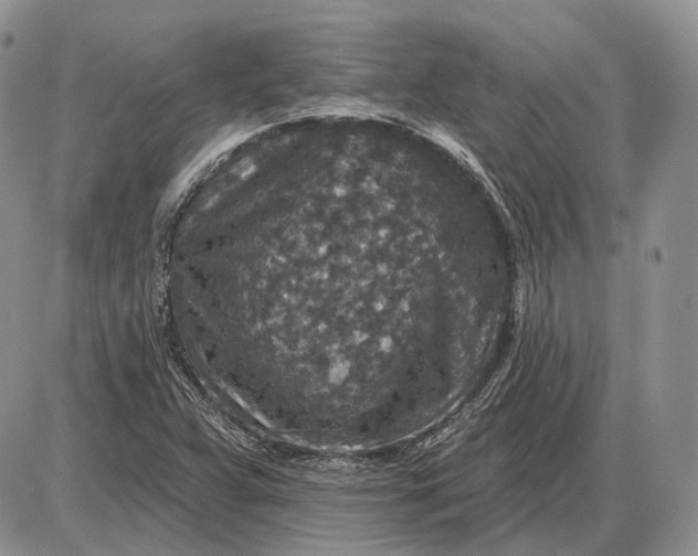 X0000085261359200703231705